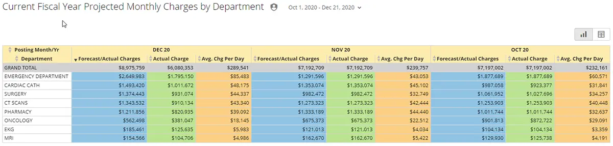 Hospital Daily Revenue Analytics Reports